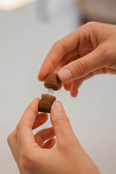 投薬用トリーツのピルバディ ナチュラルズ投薬トリーツとしての与え方