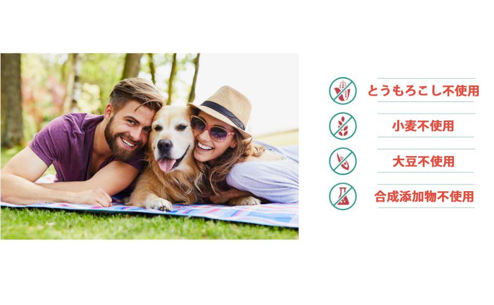 Pill Buddyは、トウモロコシ、小麦、大豆、そして人工的なものを一切使用していません